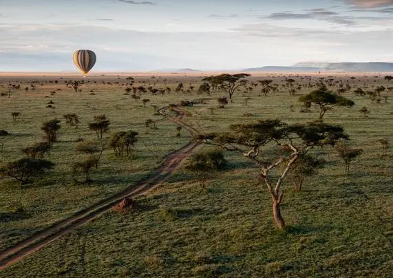美国亚洲旅行社13天safari旅行坦桑尼亚段精华