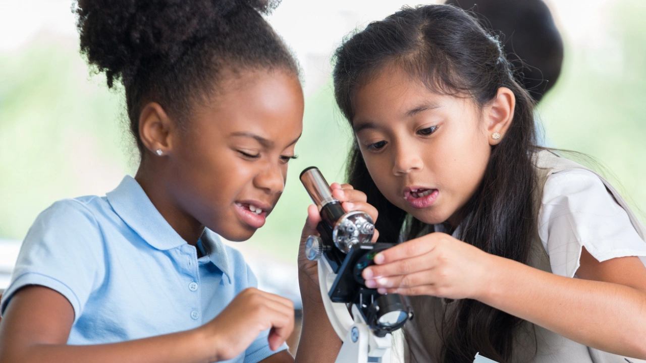 温哥华热门的学区和公立学校有哪些